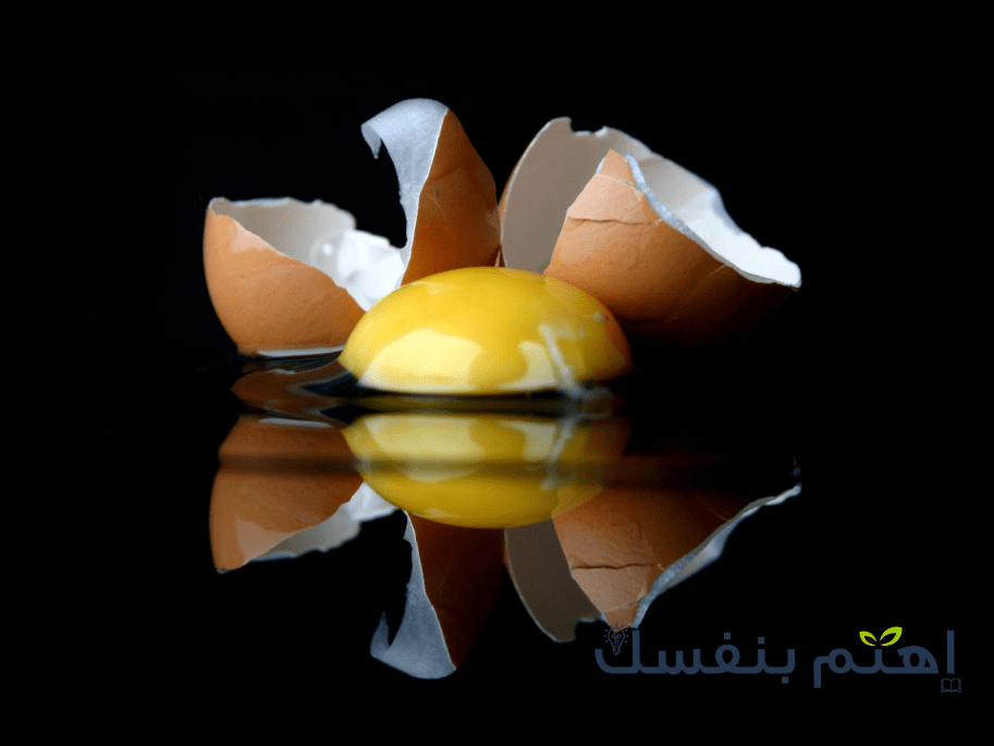 صفار البيض