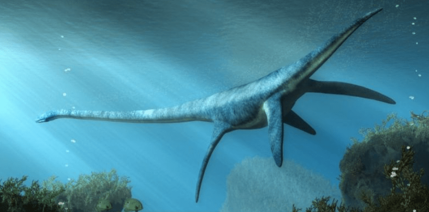 البليزوصورات في العصر الجوراسي