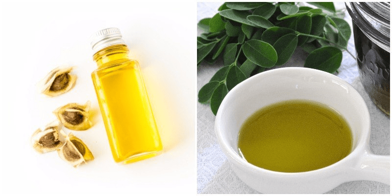 زيت المورينجا : فوائد صحية لا توصف