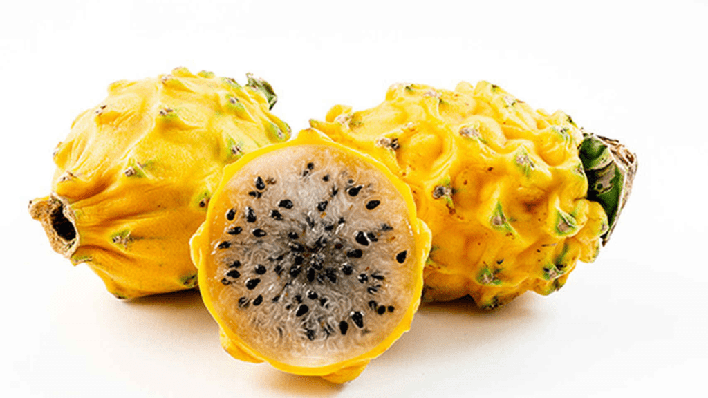فوائد فاكهة التنين : فوائد عظيمة لفاكهة غير مشهورة