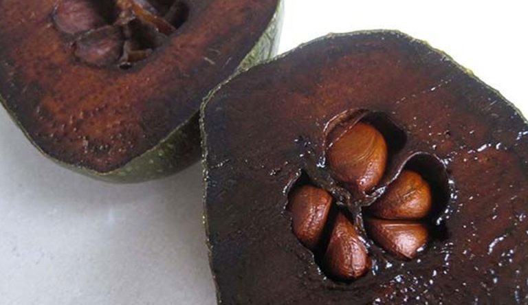 فاكهة السابوتا السوداء : فاكهة فريدة بطعم الشوكولاتة