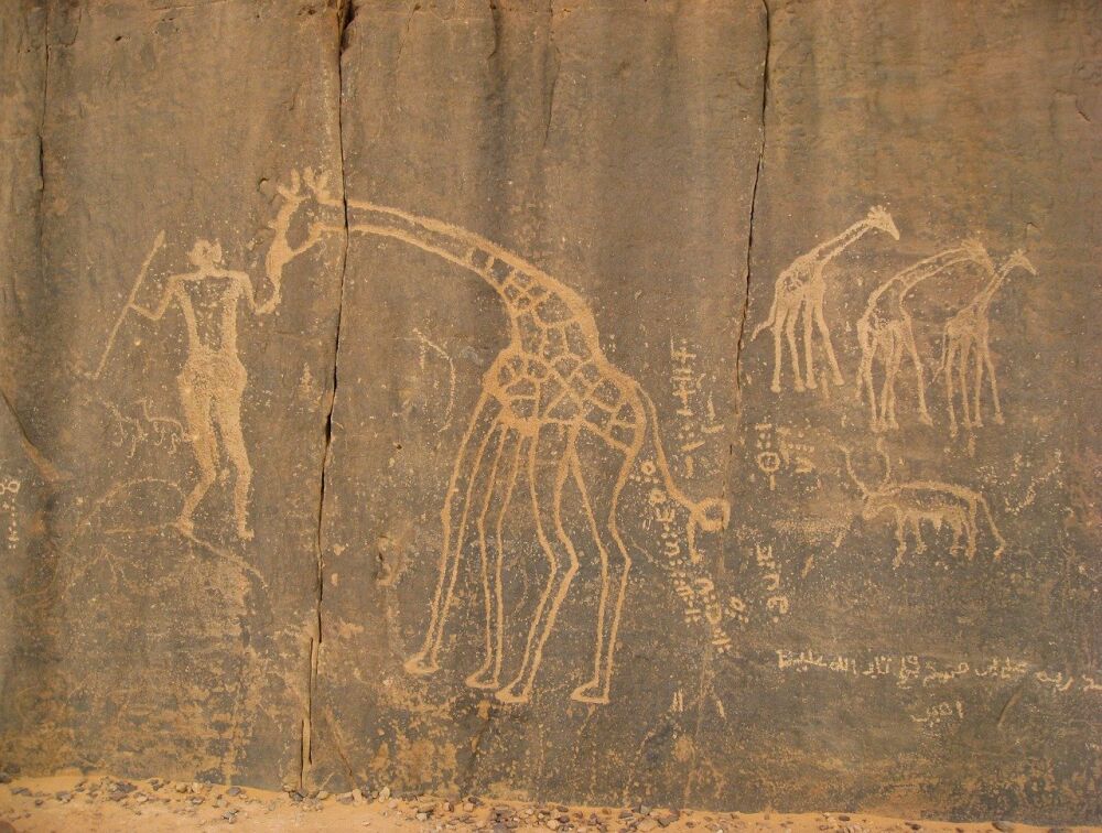  لغز كهوف تاسيلي

